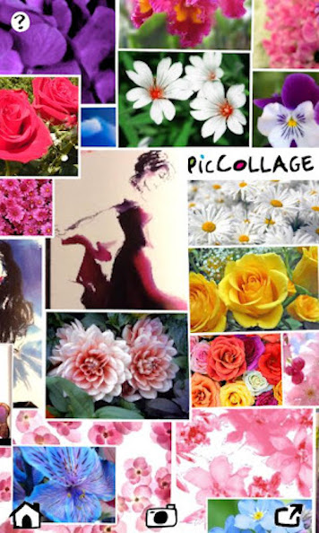 PicCollage app